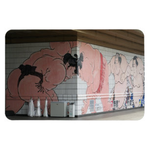 Sumo Mural Wall Art Magneet