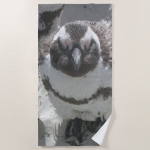 Sun Bathing Penguin Beach Towel Strandlaken