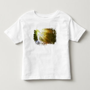 Sun Beams Through Forest in Acadia National Park Kinder Shirts