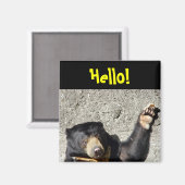 Sun Bear Hello Magnet (Recto/Verso)