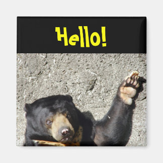 Sun Bear Hello Magnet