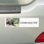 Sun Beer Bumpersticker (Op auto)