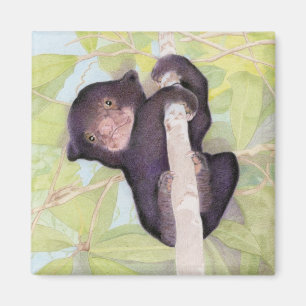 Sun Beer Cub Magnet Magneet