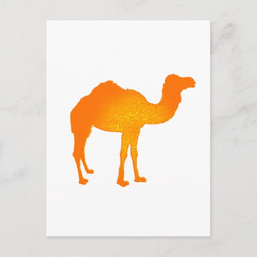 Sun Camel Briefkaart (Voorkant)