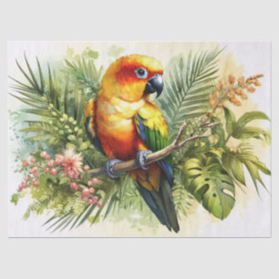 Sun Conure Decoupage Tissuepapier