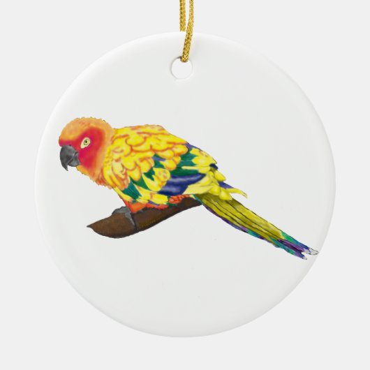 Sun Conure Ornament (Voorkant)