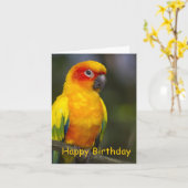 Sun Conure Parrot Blank Verjaardag Kaart (Gele Bloem)