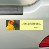 Sun Conure Parrot Bumpersticker (met tekst) (Op auto)