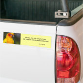 Sun Conure Parrot Bumpersticker (met tekst) (Op Truck)