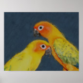 Sun Conure Parrot Pair Bird Art Poster (Voorkant)