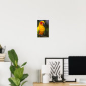 Sun Conure Parrot Poster (Thuiskantoor)