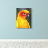 Sun Conure Parrot verpakt Canvas Afdruk (Insitu (Houten vloer))