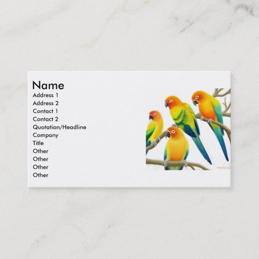 Sun Conure Parrots le carte de visite (Devant)