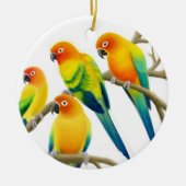 Sun Conure Parrots Ornament (Voorkant)