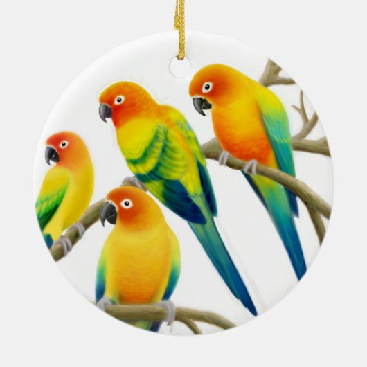 Sun Conure Parrots Ornament (Achterkant)