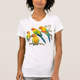 Sun Conure parrots Scoop Neck T-shirt