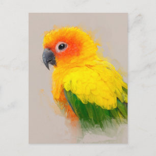 Sun Conure Portrait 001 Briefkaart