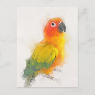 Sun Conure Portrait Briefkaart