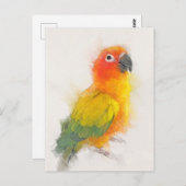 Sun Conure Portrait Briefkaart (Voorkant / Achterkant)