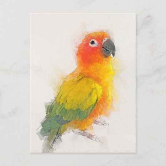 Sun Conure Portrait Briefkaart (Voorkant)