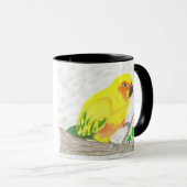 Sun Conure Ringer-Mok Mok (Voorkant rechts)