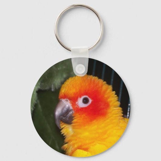 Sun Conure Sleutelhanger (Voorkant)