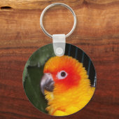 Sun Conure Sleutelhanger (Voorkant)