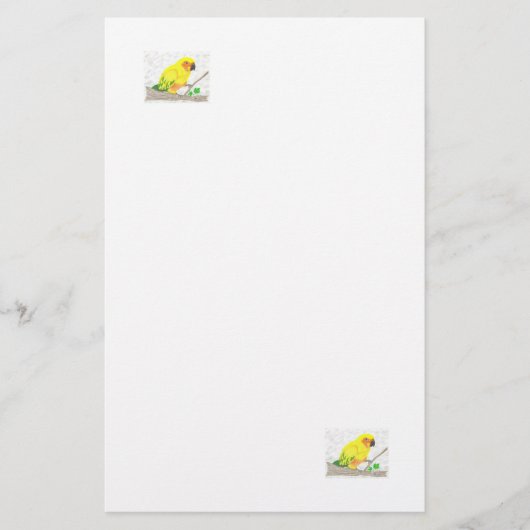 Sun Conure Stationery Briefpapier (Voorkant)