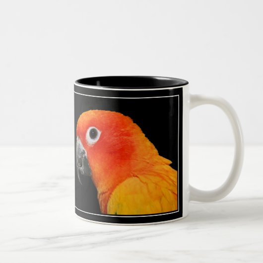 Sun Conure Tweekleurige Koffiemok (Rechts)