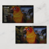 Sun conure visitekaartje (Voorkant / Achterkant)