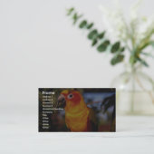 Sun conure visitekaartje (Staand voorkant)