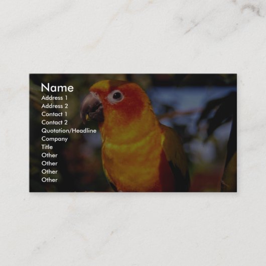 Sun conure visitekaartje (Voorkant)