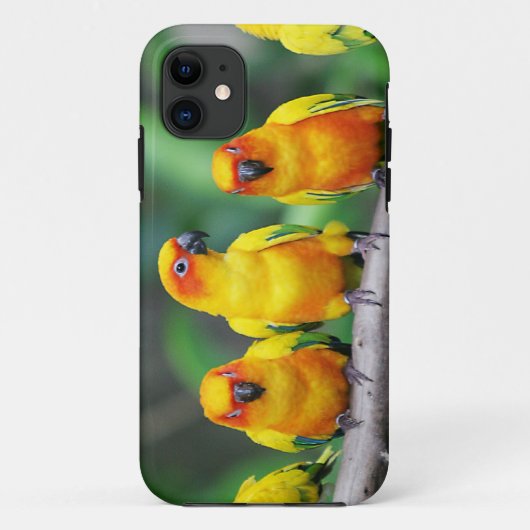 Sun Conures Case-Mate iPhone Case (Achterkant)