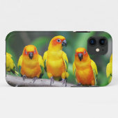 Sun Conures Case-Mate iPhone Case (Achterkant (horizontaal))