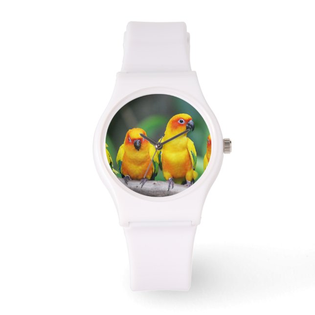 Sun Conures Horloge (Voorkant)