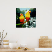 Sun Conures Poster (Keuken)