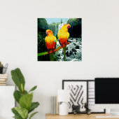 Sun Conures Poster (Thuiskantoor)