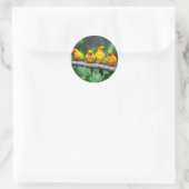 Sun Conures Ronde Sticker (Tas)