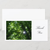 Sun dans les arbres - Merci (Devant / Derrière)