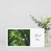 Sun dans les arbres - Merci (Debout devant)