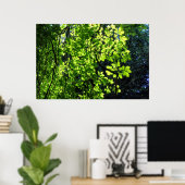 Sun Dapped Horse Chestnut Leaves Poster (Thuiskantoor)