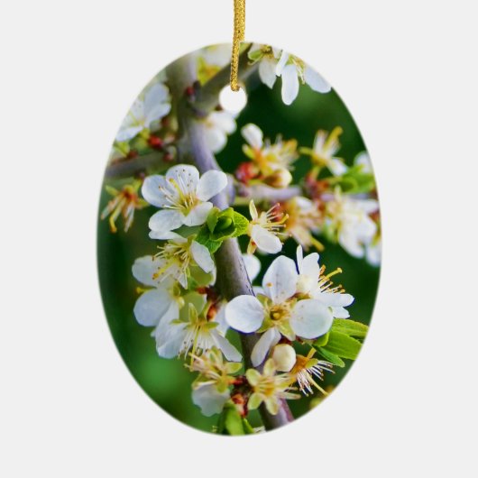 Sun-Dapped Spring Hawthorn Keramisch Ornament (Voorkant)