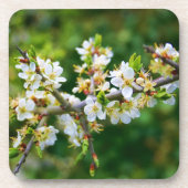 Sun-Dapped Spring Hawthorn Onderzetter (Voorkant)