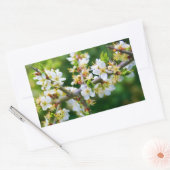 Sun-Dapped Spring Hawthorn Rechthoekige Sticker (Envelop)