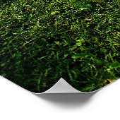 Sun Dappled Lawn Poster (Hoek)