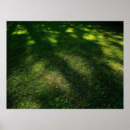 Sun Dappled Lawn Poster (Voorkant)