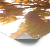 Sun Diamond op valgolven Poster (Hoek)