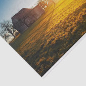 Sun-Drenched Barn en Field Tissuepapier (Detail)
