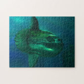 Sun Fish. Legpuzzel (Horizontaal)