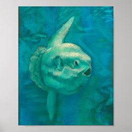 Sun Fish, Mola Mola Ocean Underwater Animals Art P Poster